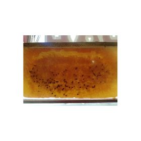 Ozmuş Bal 3 kg Polen Petek Bal