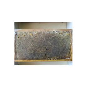 Ozmuş Bal 4 kg Sivas Çıta Çerçeve Petek Bal