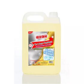 Ozon 5 kg Banyo Wc Temizleyicisi