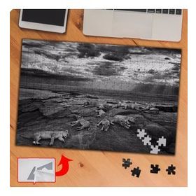 P007 Kayalıklarda Dinlenen Aslanlar 240 Parça Puzzle Yapboz Tablo
