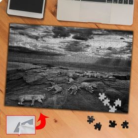 P007 Kayalıklarda Dinlenen Aslanlar 240 Parça Puzzle Yapboz Tablo