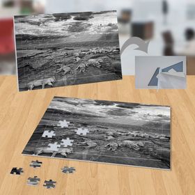 P007 Siyah Beyaz Kaplanlar 99 Parça Puzzle Yapboz