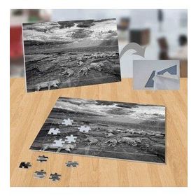 P007 Siyah Beyaz Kaplanlar 99 Parça Puzzle Yapboz