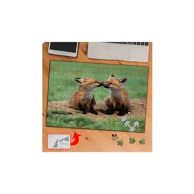P0134 Sevimli Yabani Tilkiler 240 Parça Puzzle Yapboz Tablo