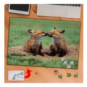P0134 Sevimli Yabani Tilkiler 240 Parça Puzzle Yapboz Tablo