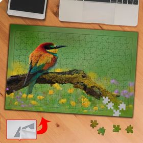 P015 Renkli Tüylü Naturel Kuş 240 Parça Puzzle Yapboz Tablo
