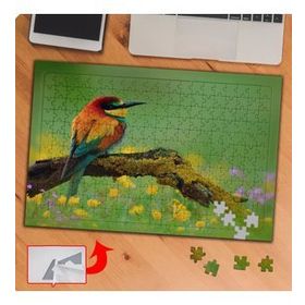 P015 Renkli Tüylü Naturel Kuş 240 Parça Puzzle Yapboz Tablo