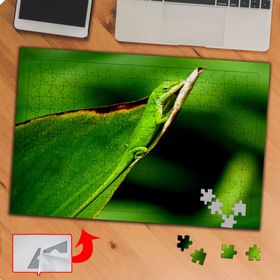 P019 Yapraktaki Yeşil Kertenkele 240 Parça Puzzle Yapboz Tablo