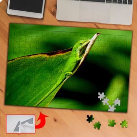 P019 Yapraktaki Yeşil Kertenkele 240 Parça Puzzle Yapboz Tablo