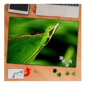 P019 Yapraktaki Yeşil Kertenkele 240 Parça Puzzle Yapboz Tablo