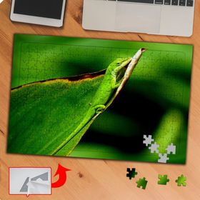 P019 Yapraktaki Yeşil Kertenkele 240 Parça Puzzle Yapboz Tablo