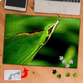 P019 Yapraktaki Yeşil Kertenkele 240 Parça Puzzle Yapboz Tablo