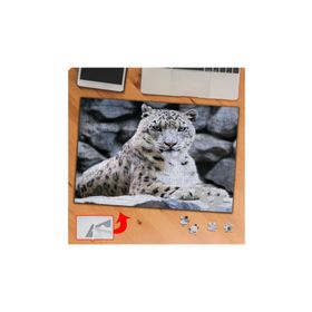 P026 Dikkatli Bakan Leopar 240 Parça Puzzle Yapboz Tablo