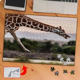 P029 Vahşi Hayvan Zürafa 240 Parça Puzzle Yapboz Tablo
