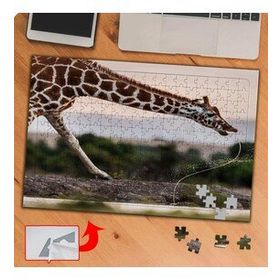 P029 Vahşi Hayvan Zürafa 240 Parça Puzzle Yapboz Tablo