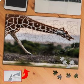 P029 Vahşi Hayvan Zürafa 240 Parça Puzzle Yapboz Tablo