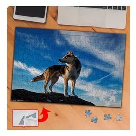 P034 Yabani Kurrt Köpeği 240 Parça Puzzle Yapboz Tablo