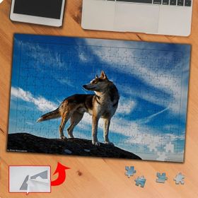 P034 Yabani Kurrt Köpeği 240 Parça Puzzle Yapboz Tablo