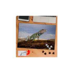 P038 Sürüngen Hayvan İguana 240 Parça Puzzle Yapboz Tablo