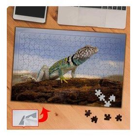 P038 Sürüngen Hayvan İguana 240 Parça Puzzle Yapboz Tablo