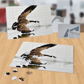 P040 Göl Üstünde Uçan Kuş 99 Parça Puzzle Yapboz
