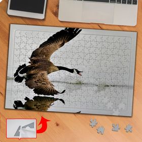 P040 Gölde Kanatlı Büyük Kuş 240 Parça Puzzle Yapboz Tablo