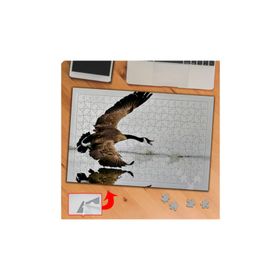 P040 Gölde Kanatlı Büyük Kuş 240 Parça Puzzle Yapboz Tablo