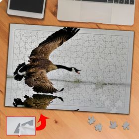 P040 Gölde Kanatlı Büyük Kuş 240 Parça Puzzle Yapboz Tablo