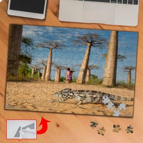 P047 Caddede Gezen İguana 240 Parça Puzzle Yapboz Tablo