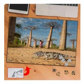 P047 Caddede Gezen İguana 240 Parça Puzzle Yapboz Tablo
