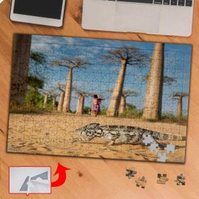 P047 Caddede Gezen İguana 240 Parça Puzzle Yapboz Tablo