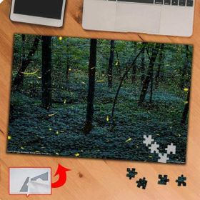 P052 Ormandaki Ağaç Manzarası 240 Parça Puzzle Yapboz Tablo