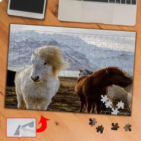 P053 Beyaz Ve Kahverengi Atlar 240 Parça Puzzle Yapboz Tablo