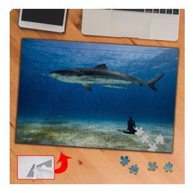 P059 Denizdeki Vahşi Köpek Balığı 240 Parça Puzzle Yapboz Tablo