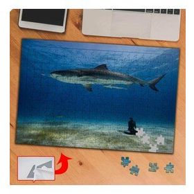 P059 Denizdeki Vahşi Köpek Balığı 240 Parça Puzzle Yapboz Tablo