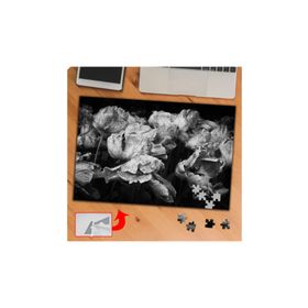 P064 Siyah Beyaz Çiçek Fotoğrafı 240 Parça Puzzle Yapboz Tablo