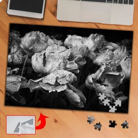 P064 Siyah Beyaz Çiçek Fotoğrafı 240 Parça Puzzle Yapboz Tablo