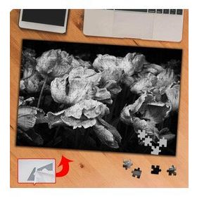 P064 Siyah Beyaz Çiçek Fotoğrafı 240 Parça Puzzle Yapboz Tablo