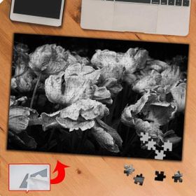 P064 Siyah Beyaz Çiçek Fotoğrafı 240 Parça Puzzle Yapboz Tablo