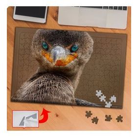 P069 Mavi Gözlü Yabani Kuş 240 Parça Puzzle Yapboz Tablo