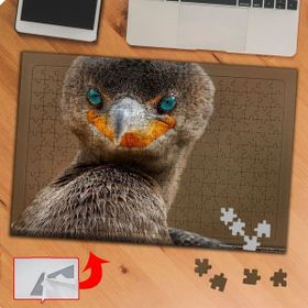 P069 Mavi Gözlü Yabani Kuş 240 Parça Puzzle Yapboz Tablo