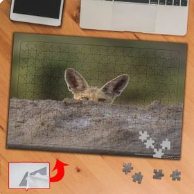 P077 Taşın Arkasına Saklanmış Hayvan 240 Parça Puzzle Yapboz Tablo