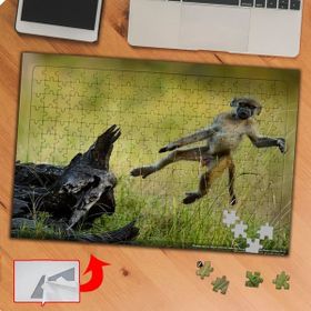 P078 Doğadaki Sevimli Maymun 240 Parça Puzzle Yapboz Tablo