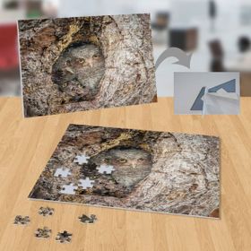 P086 Ağaç Yuvasındaki Baykuşlar 99 Parça Puzzle Yapboz