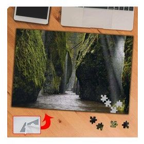 P087 Yosun Tutmuş Kayalıklar Göl 240 Parça Puzzle Yapboz Tablo