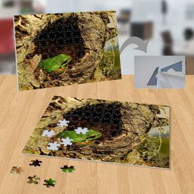 P091 Ağaç Kavuğundaki Kurbağa 99 Parça Puzzle Yapboz