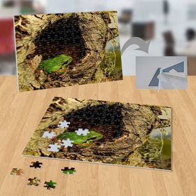 P091 Ağaç Kavuğundaki Kurbağa 99 Parça Puzzle Yapboz