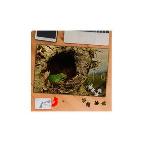 P091 Ağaç Oyuğundaki Kurbağa 240 Parça Puzzle Yapboz Tablo