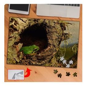 P091 Ağaç Oyuğundaki Kurbağa 240 Parça Puzzle Yapboz Tablo