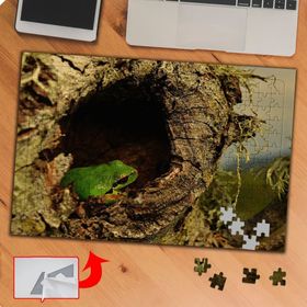 P091 Ağaç Oyuğundaki Kurbağa 240 Parça Puzzle Yapboz Tablo